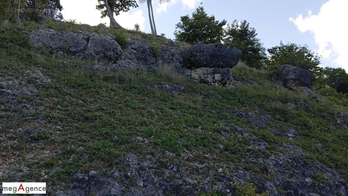 Terrain à LE GOSIER