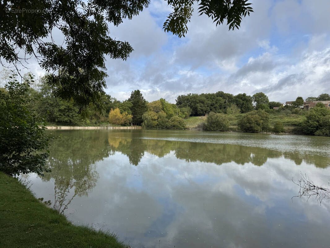 Terrain à CHAPELLE-VIVIERS