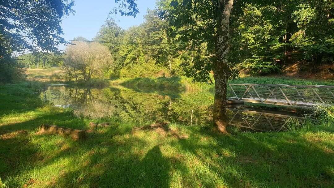 Terrain à SAINT-LEONARD-DE-NOBLAT