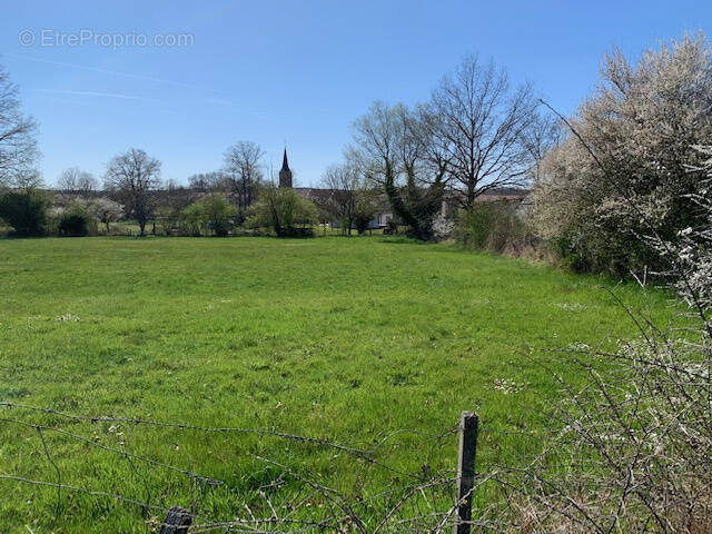 Terrain à XERMAMENIL