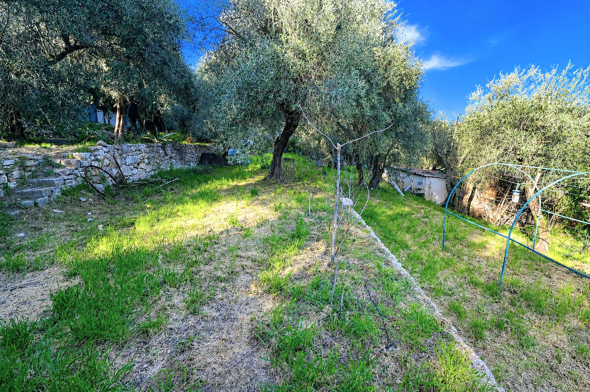 Terrain à SPERACEDES