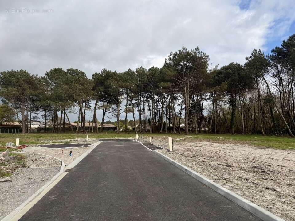 Terrain à SAINT-AUBIN-DE-MEDOC