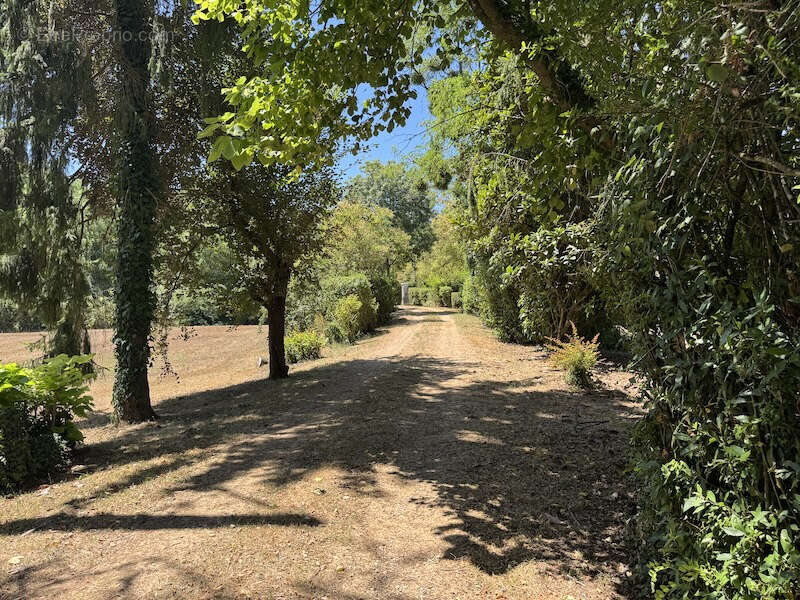 Magnifique moulin avec une piscine, des bois, verger, prairie et piscine couverte- pas des voisins proches - photo 19