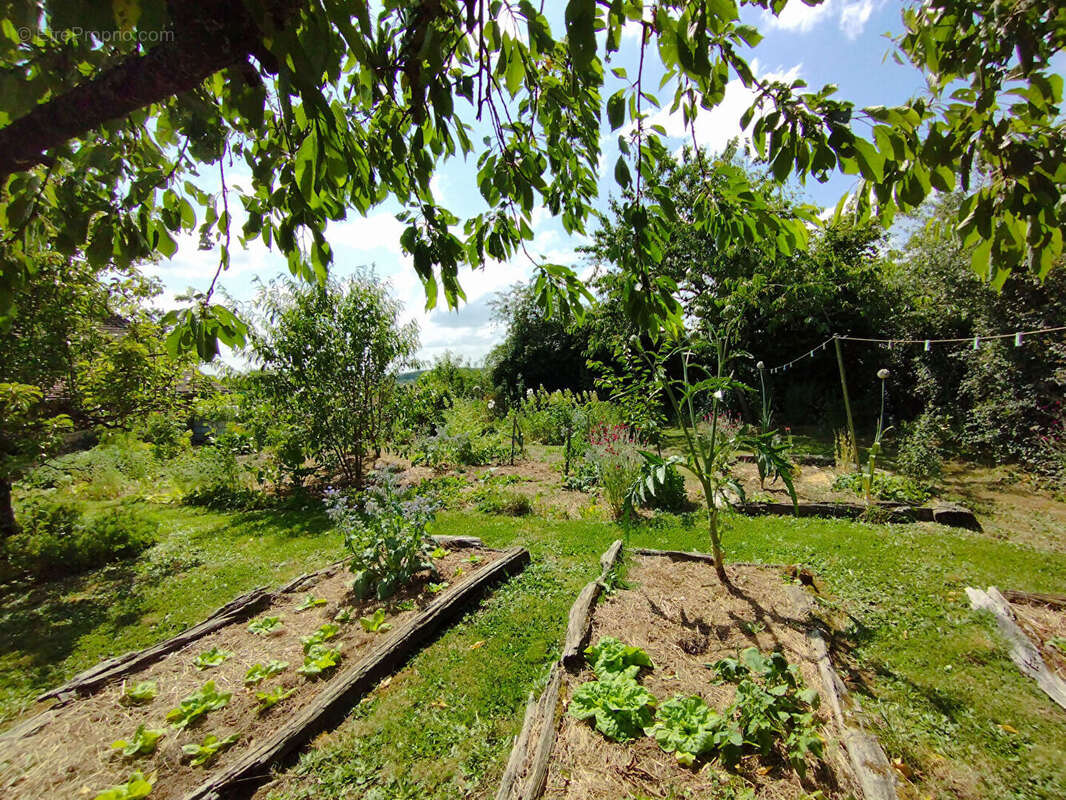 Maison à LA VILLE-AUX-CLERCS