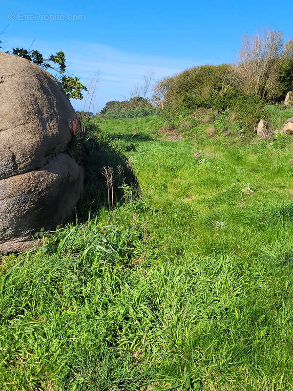 Terrain à PLEUMEUR-BODOU