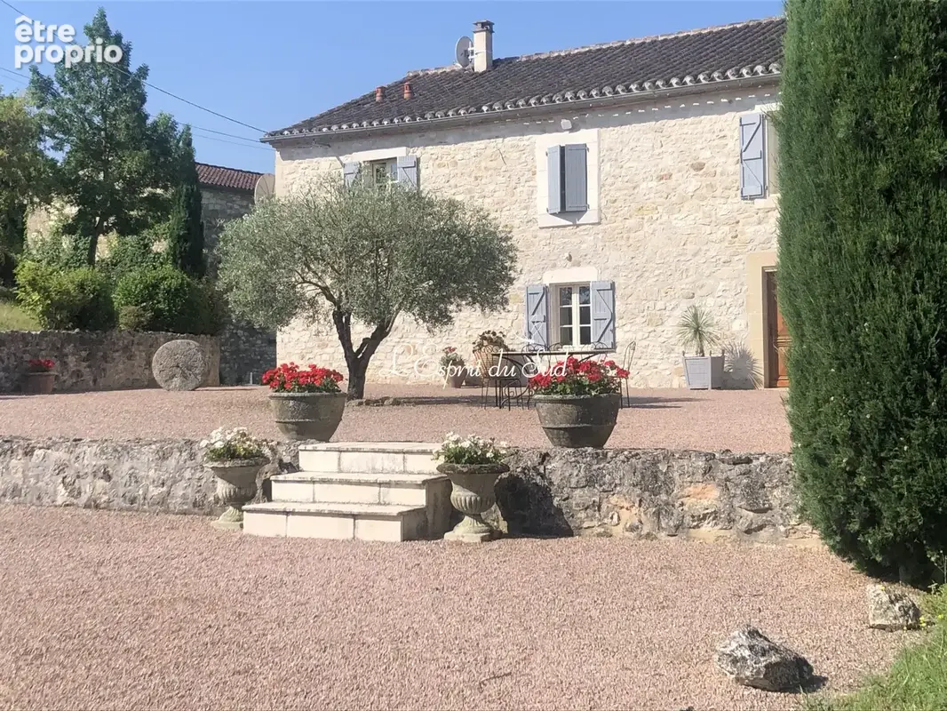 Maison 9 pièces 289 m² à vendre à Castelnau-De-Montmiral (81140) - photo 2