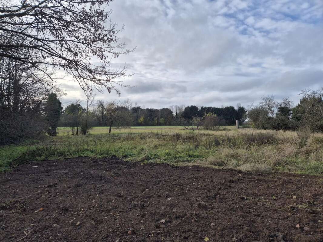 Terrain à JURANVILLE