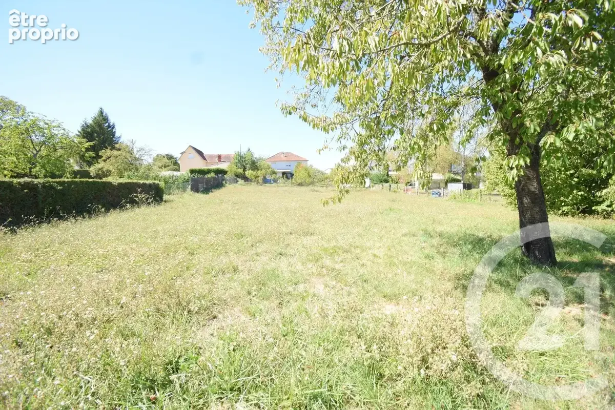 Terrain 1 302 m² à vendre à Cusset (03300) - photo 2