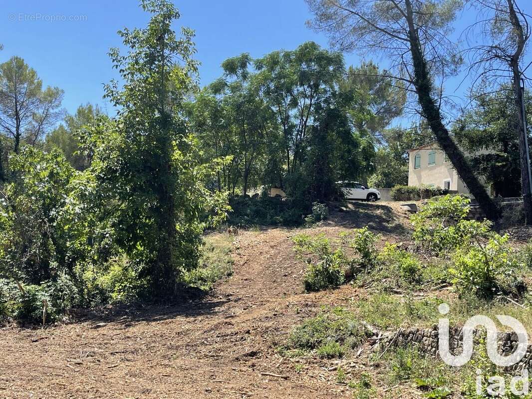 Photo 4 - Maison à OPIO