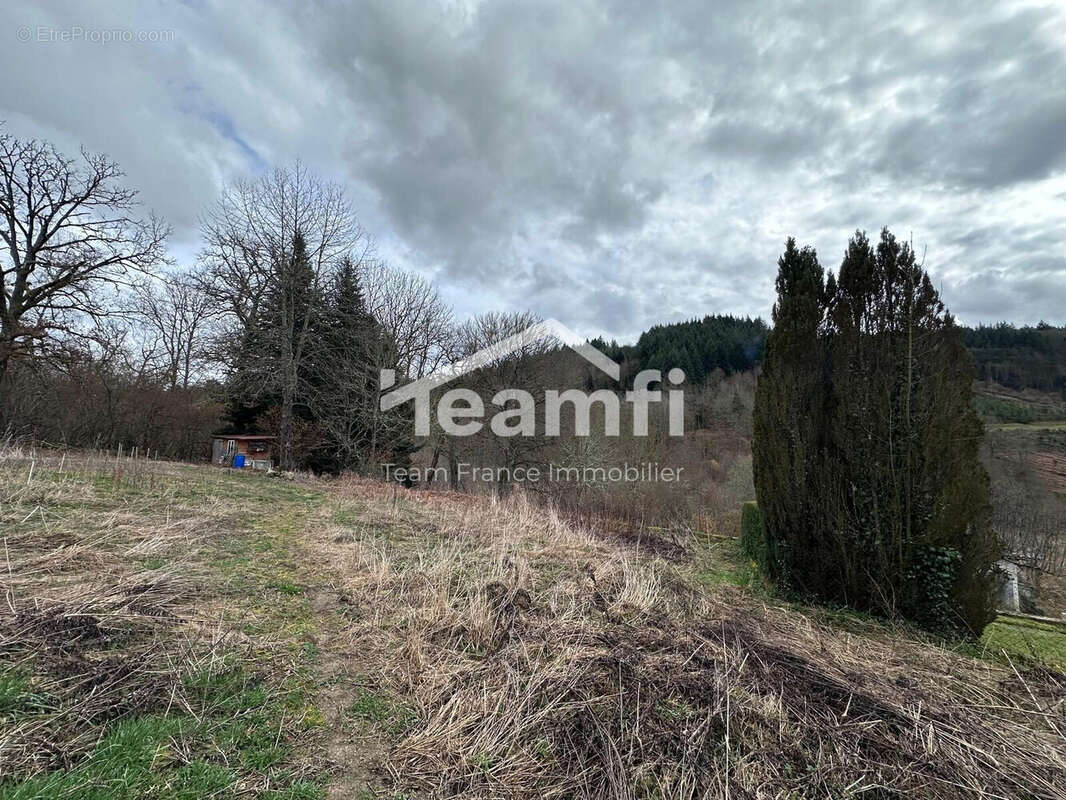 Maison à LA MONNERIE-LE-MONTEL