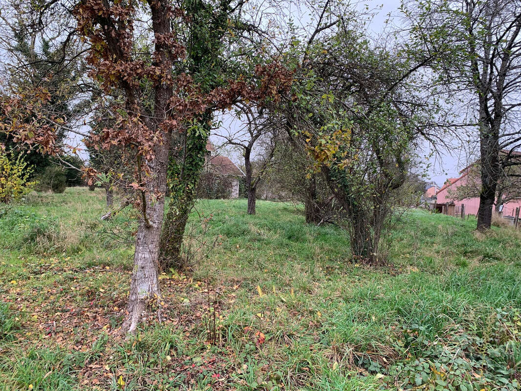 Terrain à CROISMARE