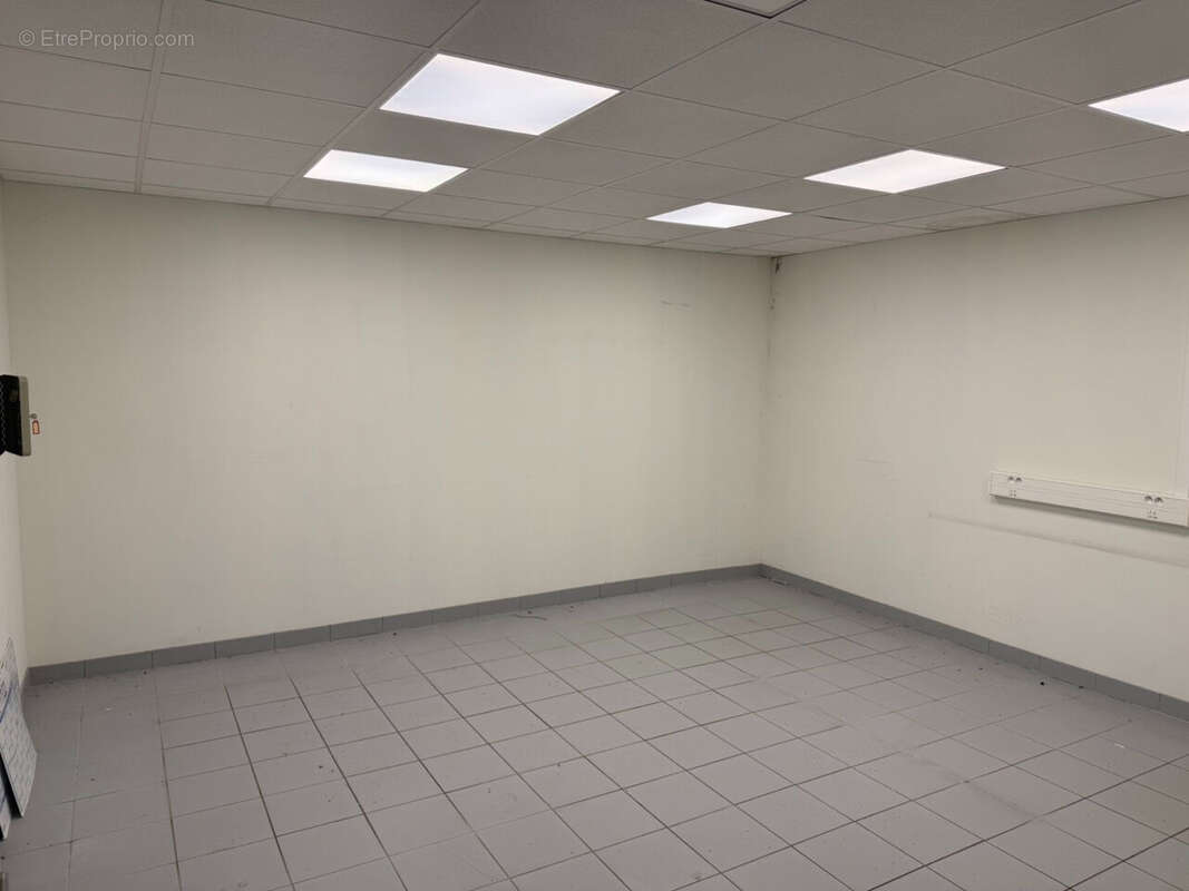 COLMAR - Zone Aérodrome - 4 rue Louis Blériot - 709 m2 - photo 13