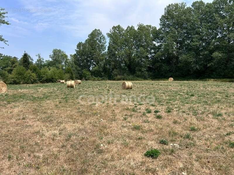Terrain à vendre  COULAURES (24) 8637m² - photo 4