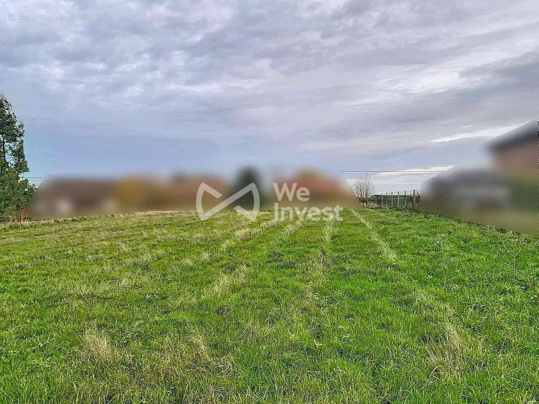 Terrain à SASSEGNIES
