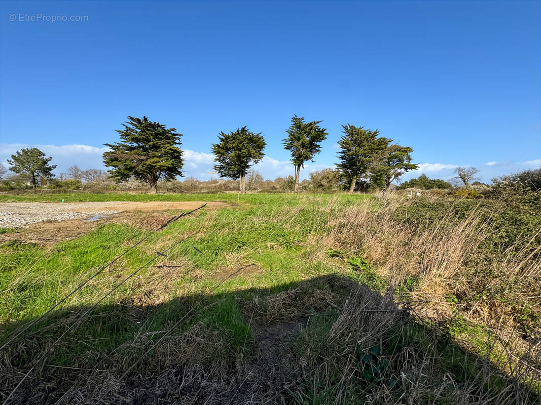 Terrain à LA BAULE-ESCOUBLAC