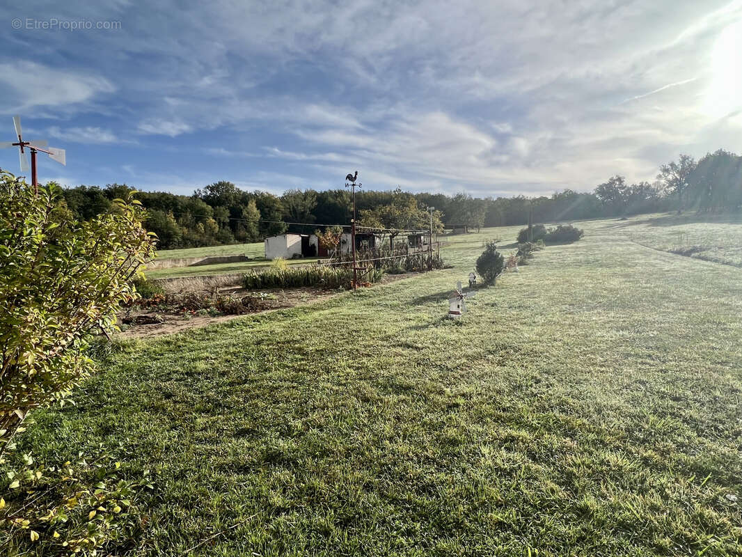 Maison avec grand terrain - photo 7