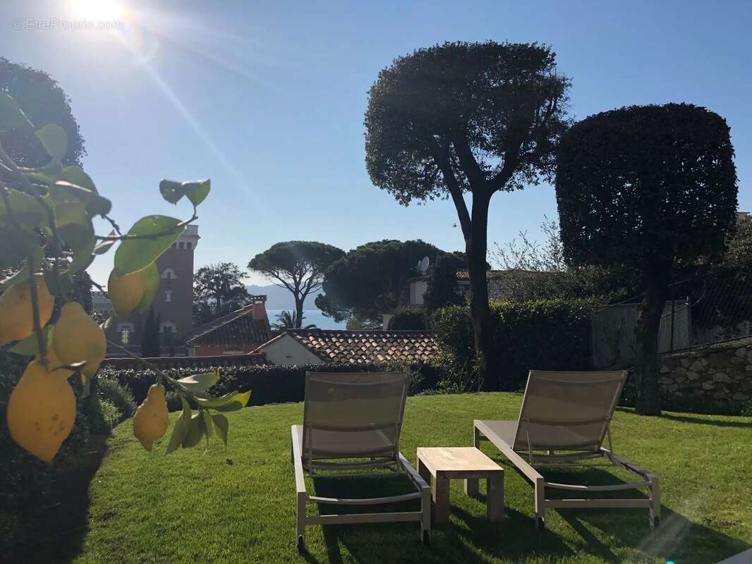 Exclusivité - Cap d'Antibes Gallice - 3P en rez-de-jardin surélevé  - Vue magnifique mer - photo 20