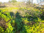 Terrain à SOLLIES-PONT