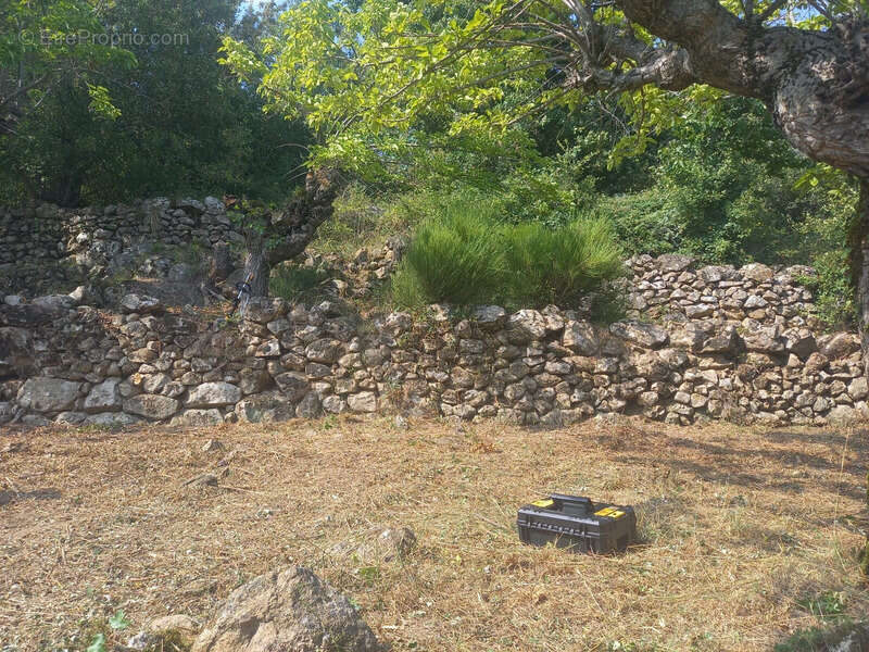 Maison à SAINT-MAURICE-EN-CHALENCON