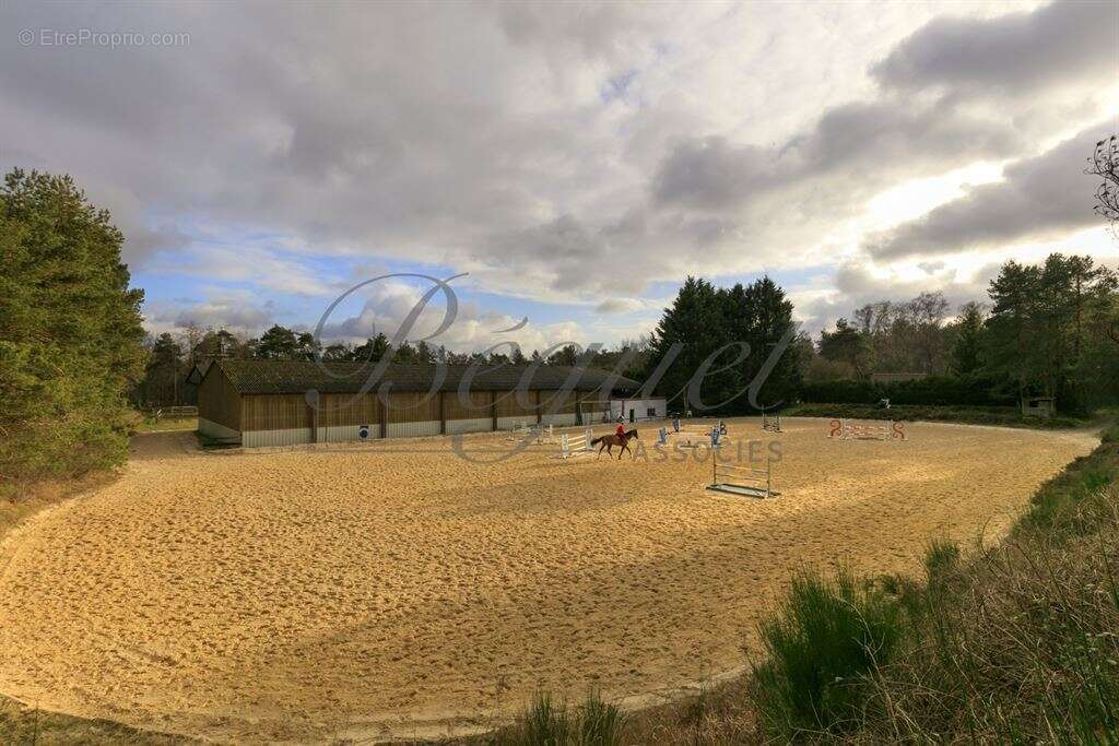 Maison à POIGNY-LA-FORET