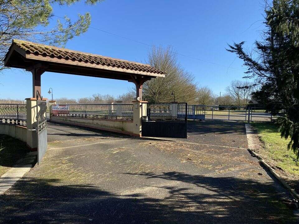 #maison #type t4 #dépendances #sudouest #hangar #hectares - Maison à CAZAUBON