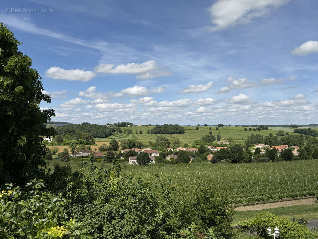 Larroque sur l’osse - maison de village en pierre avec terrasse, jardin et dependance - photo 8