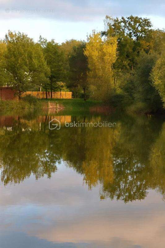 Terrain à SAVONNIERES