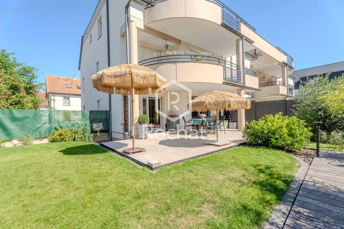 Oberschaeffolsheim   rare t4 rez-de-jardin avec piscine, jardin de 275 m2 et garage double - photo 12