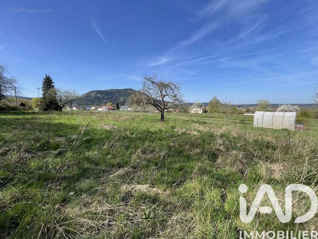 Photo 9 - Terrain à RAON-L'ETAPE