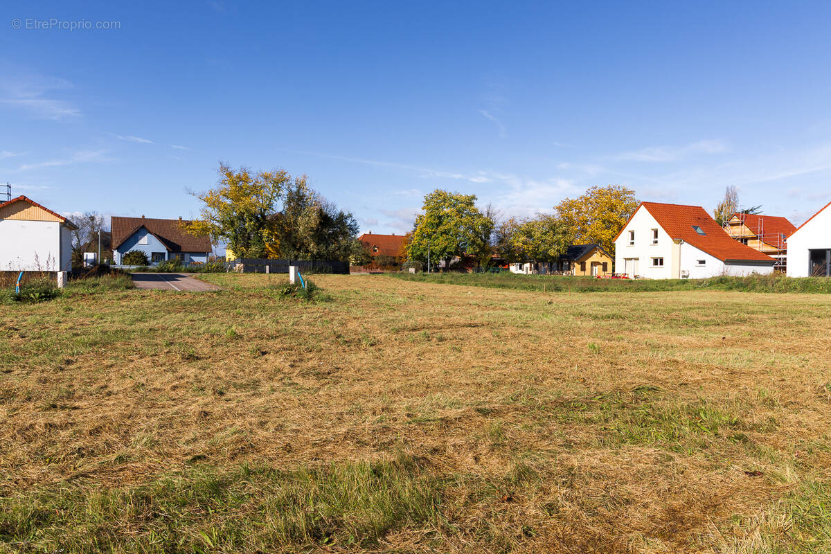 Terrain à BLODELSHEIM