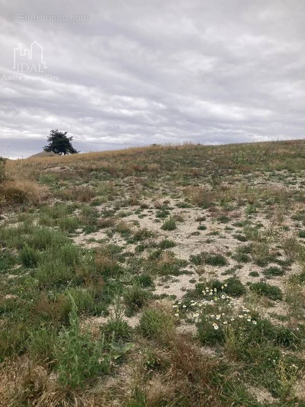 Terrain à SAINT-DENIS-EN-MARGERIDE