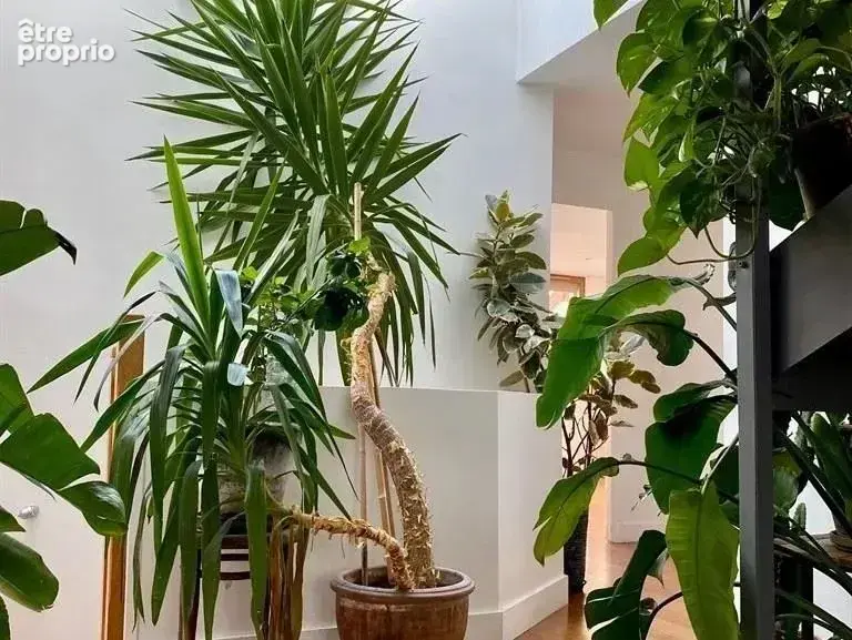 Bagnolet - Limite Paris - Loft 6p - Terrasse intimiste - photo 6