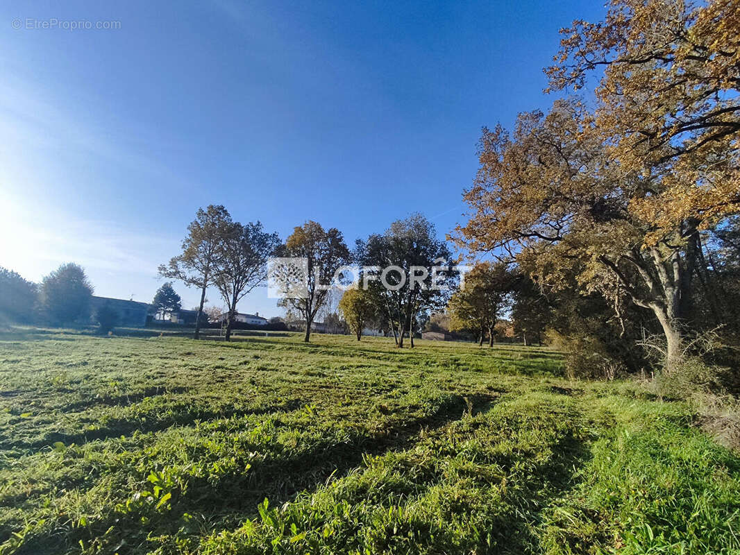 Terrain à PUYDANIEL