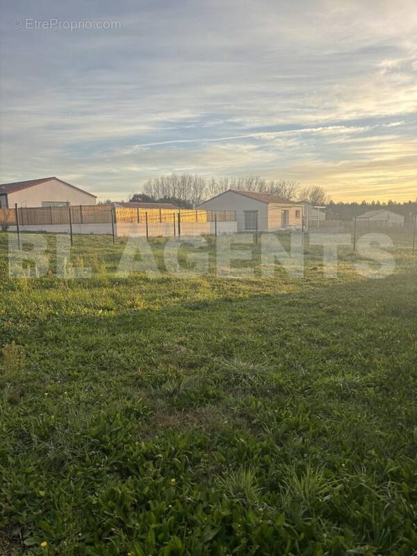 IMG_1008 - Terrain à AVRILLE