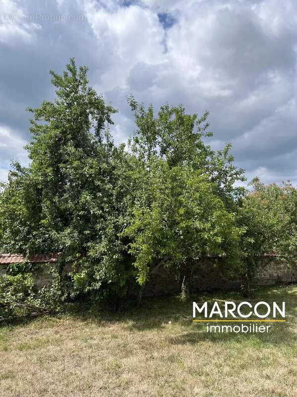 Maison 195 m² à Aubusson  - photo 16