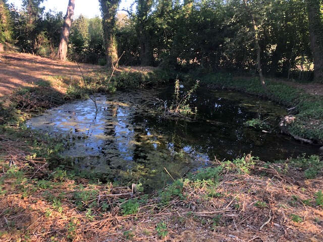 Maison à SAINTE-GENEVIEVE