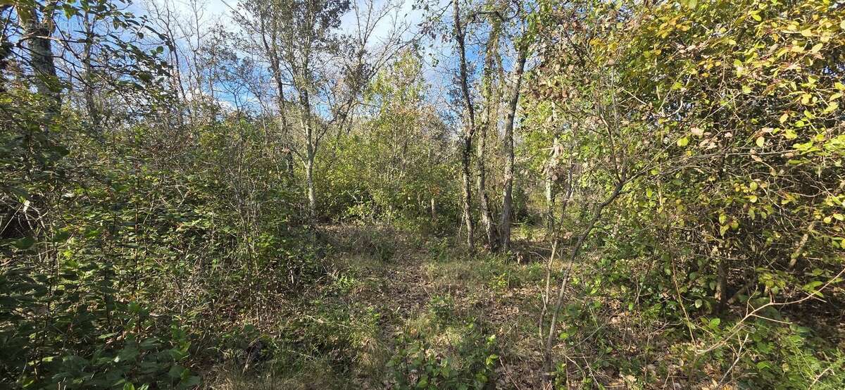 Terrain à SAINT-QUENTIN-LA-POTERIE