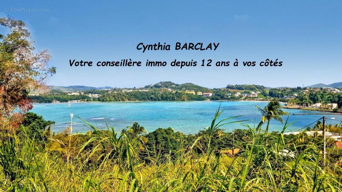 Terrain à LA TRINITE