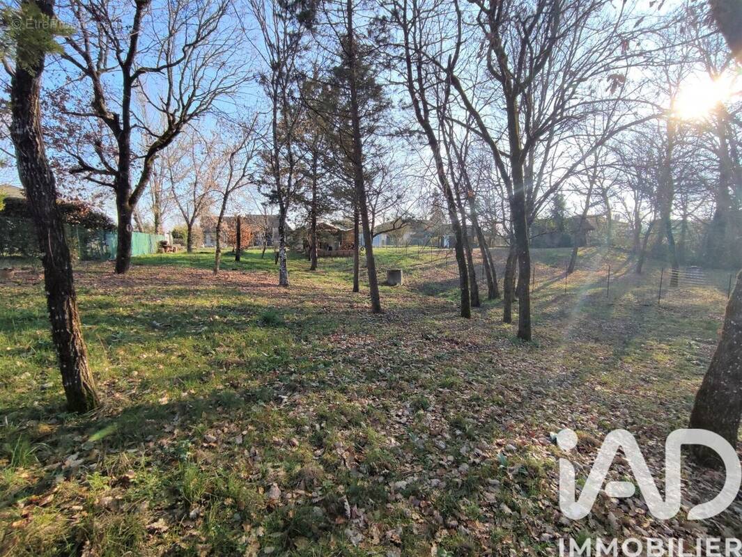 Photo 1 - Terrain à MONTEILS