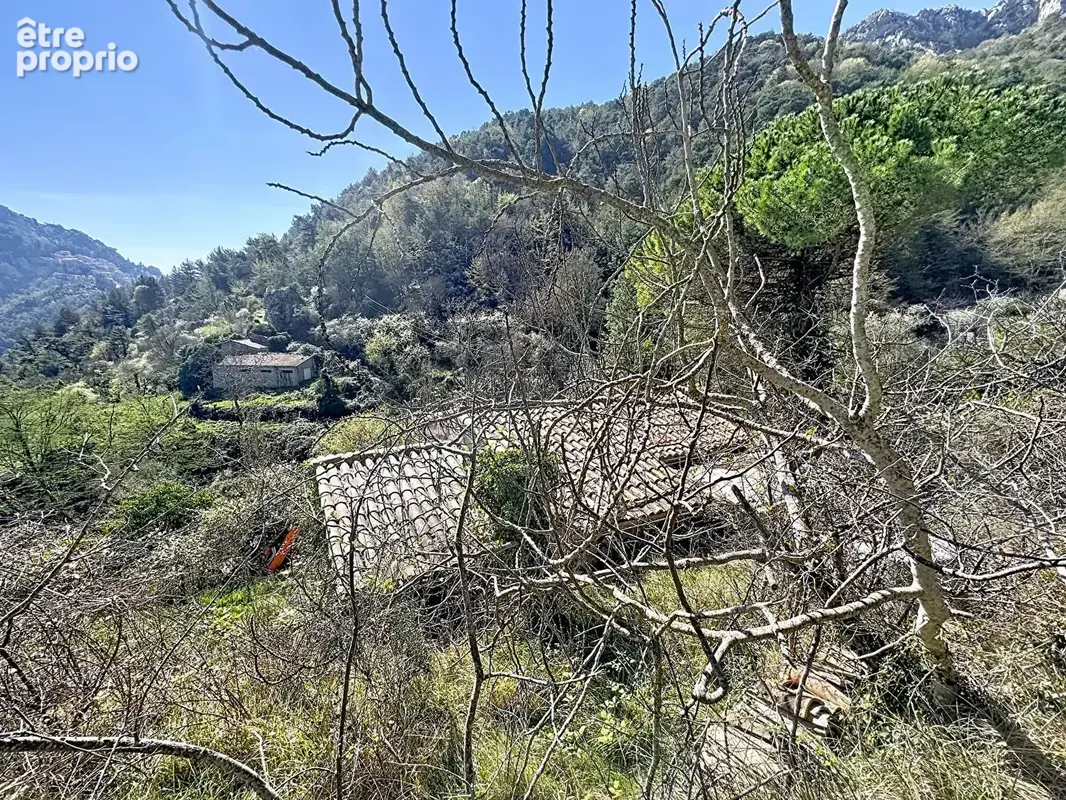 Maison de 46 m² avec terrain à  Peyre Grosse - Saint Agnès - photo 6
