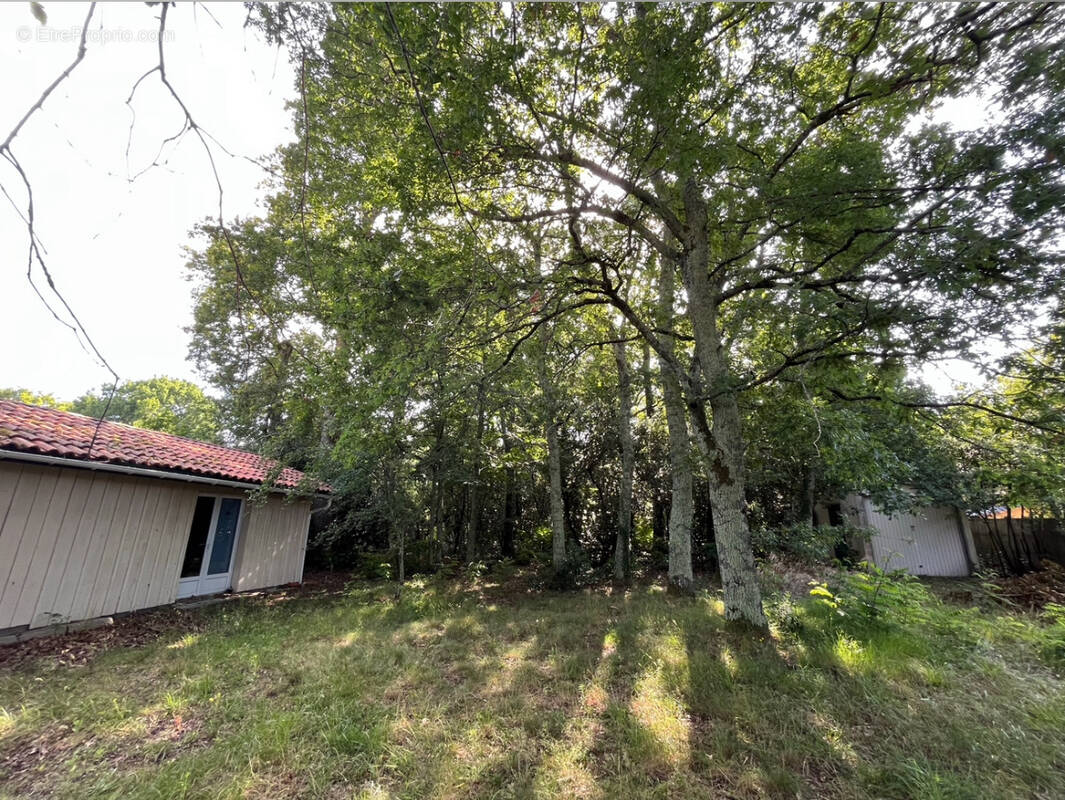 Terrain à GUJAN-MESTRAS