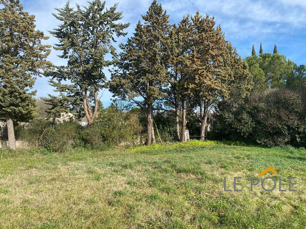 Terrain à SAINTE-CECILE-LES-VIGNES