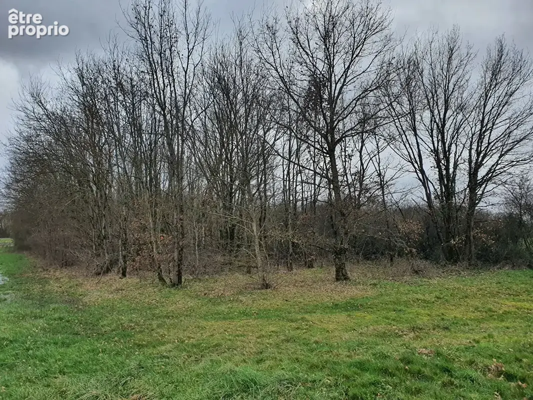 Terrain à VILLEMUR-SUR-TARN