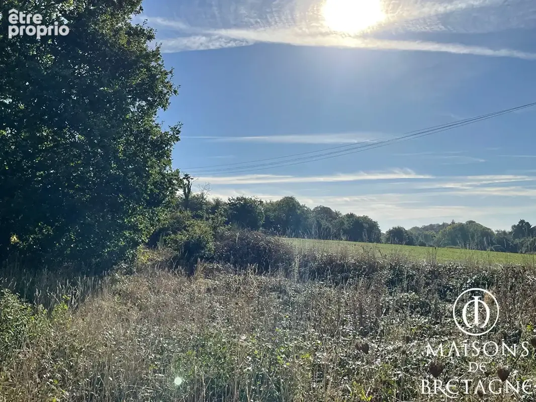 Longère à rénover à Bannalec - photo 11