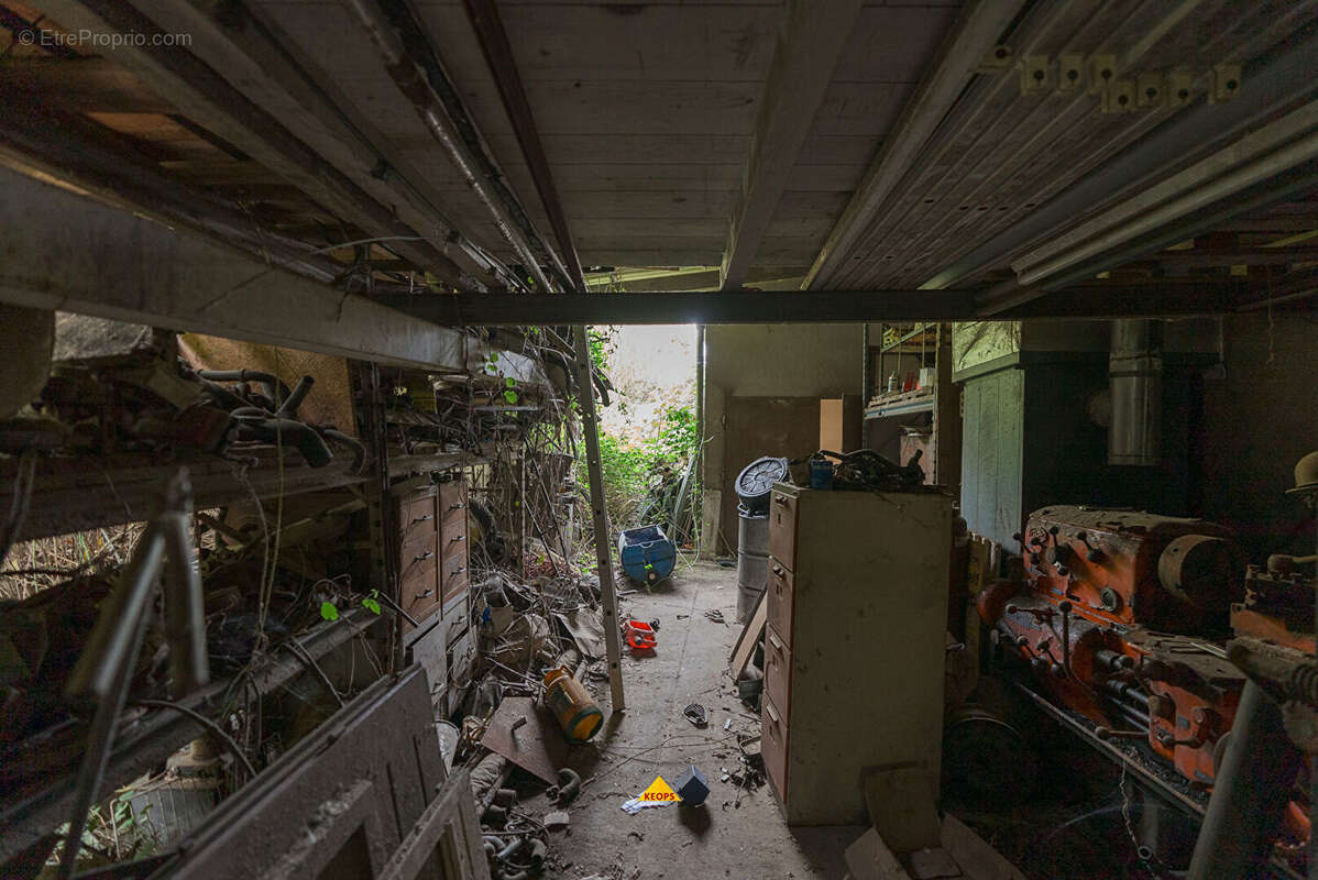 Commerce à CARCASSONNE