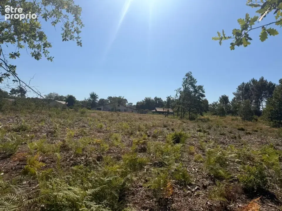 Terrain à SALLES