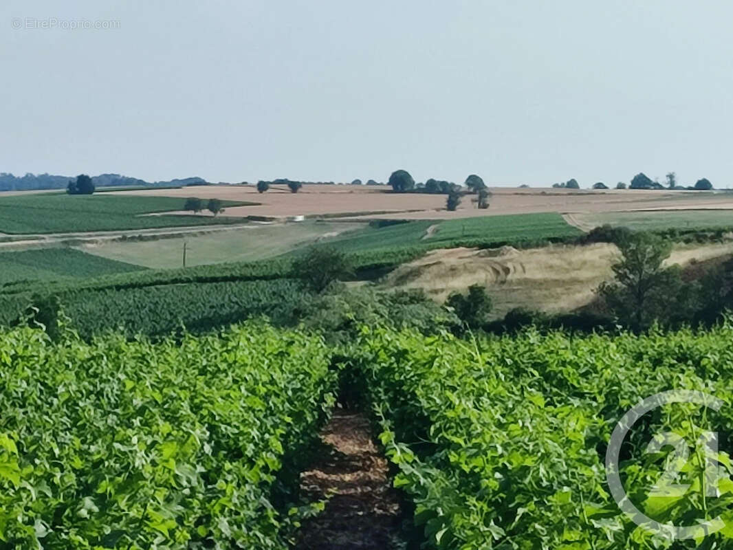 Maison 98 m² à Sainte-Gemme-En-Sancerrois  - photo 3