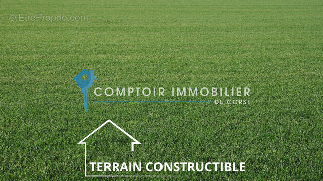Terrain à ALERIA
