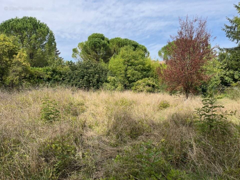 Terrain à AOUSTE-SUR-SYE