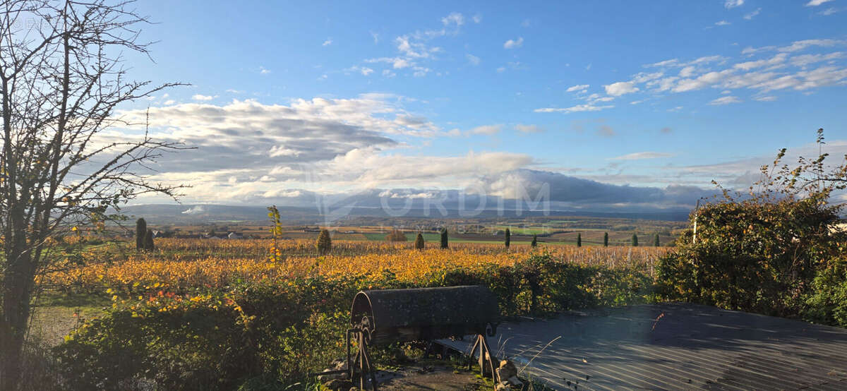 Maison à SAINT-ANDELAIN